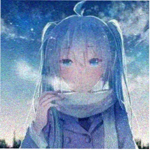 读者木棉的头像